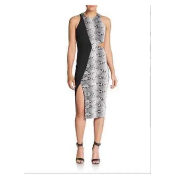 Elizabeth & James Snakeskin Dress 🐍🖤 - Picture 5 of 5